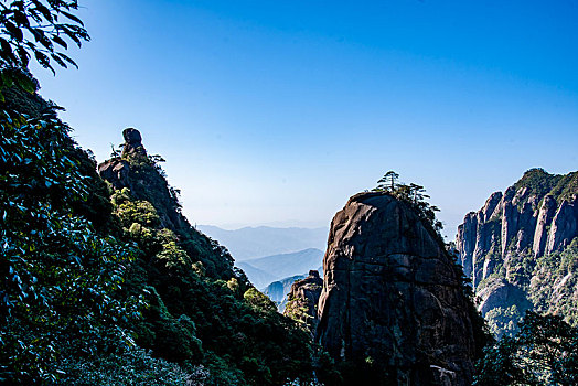 听华水批发价格F3381681-338168